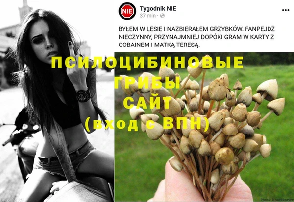 синтетический гашиш Каменка