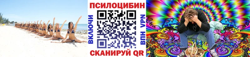 Галлюциногенные грибы Magic Shrooms  mega ссылка  Гай  закладки 